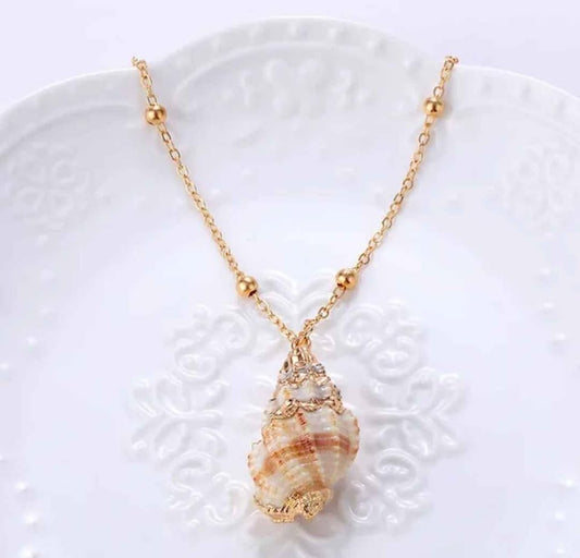 Elegant Trochus Seashell Necklace